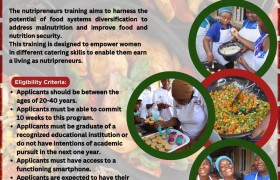 Call for Applications: Nutripreneur Incubation and Training Programme – Cohort 3